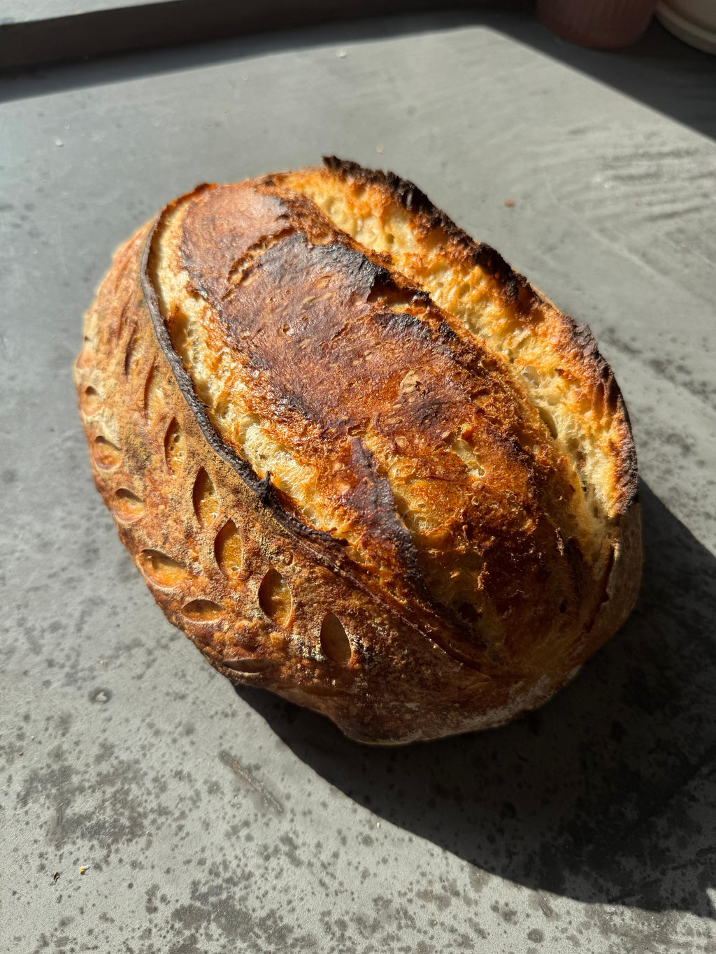 Biologische zuurdesemstarter met GRATIS digitale instructie