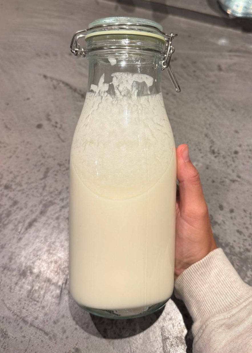 Biologische kefir korrels - 10 gram - inclusief uitleg