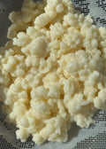 Biologische kefir korrels - 10 gram - inclusief uitleg
