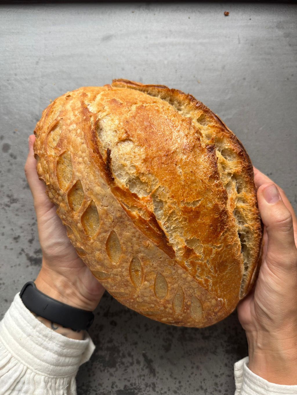 Biologische zuurdesemstarter met GRATIS digitale instructie