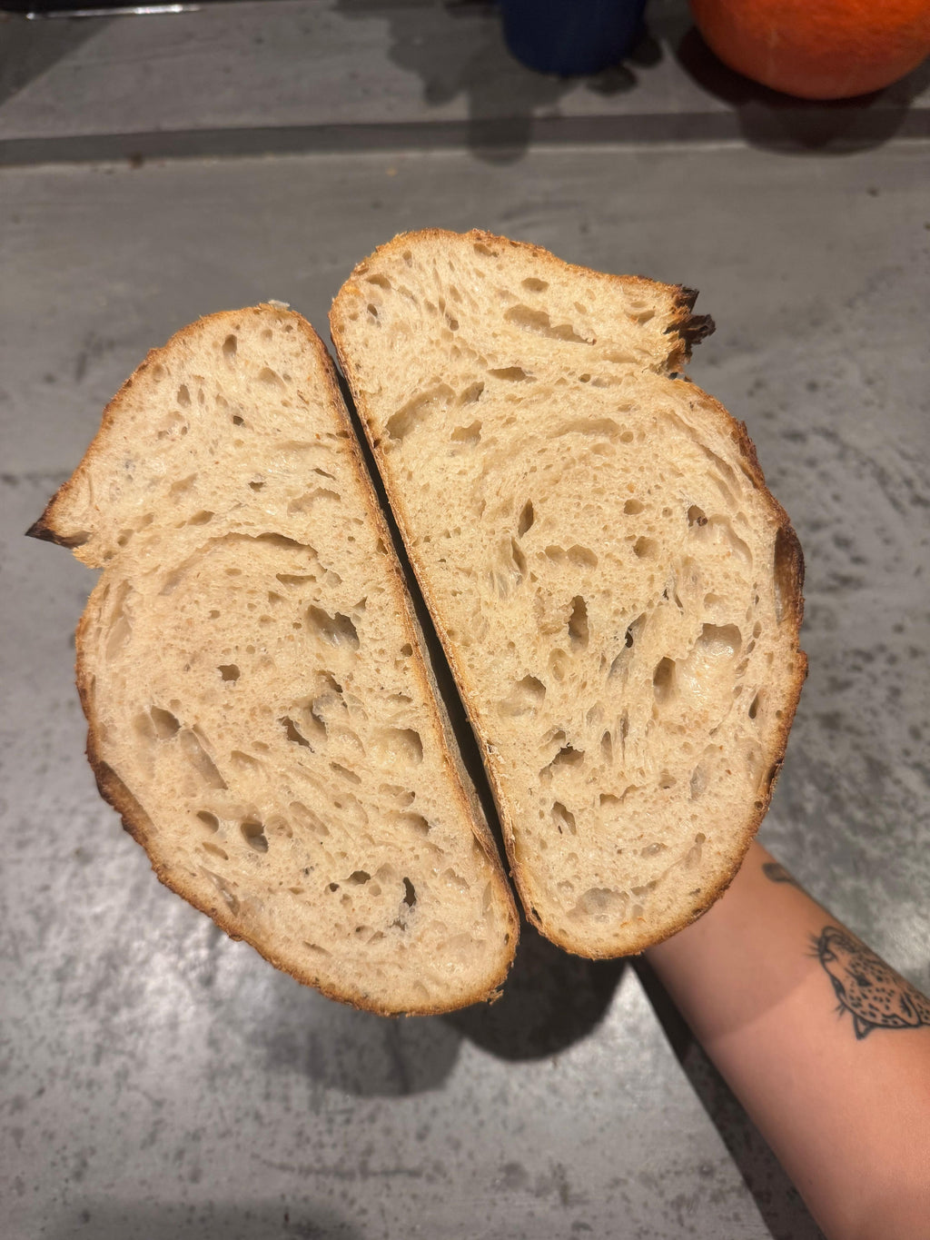 Biologische zuurdesemstarter met GRATIS digitale instructie